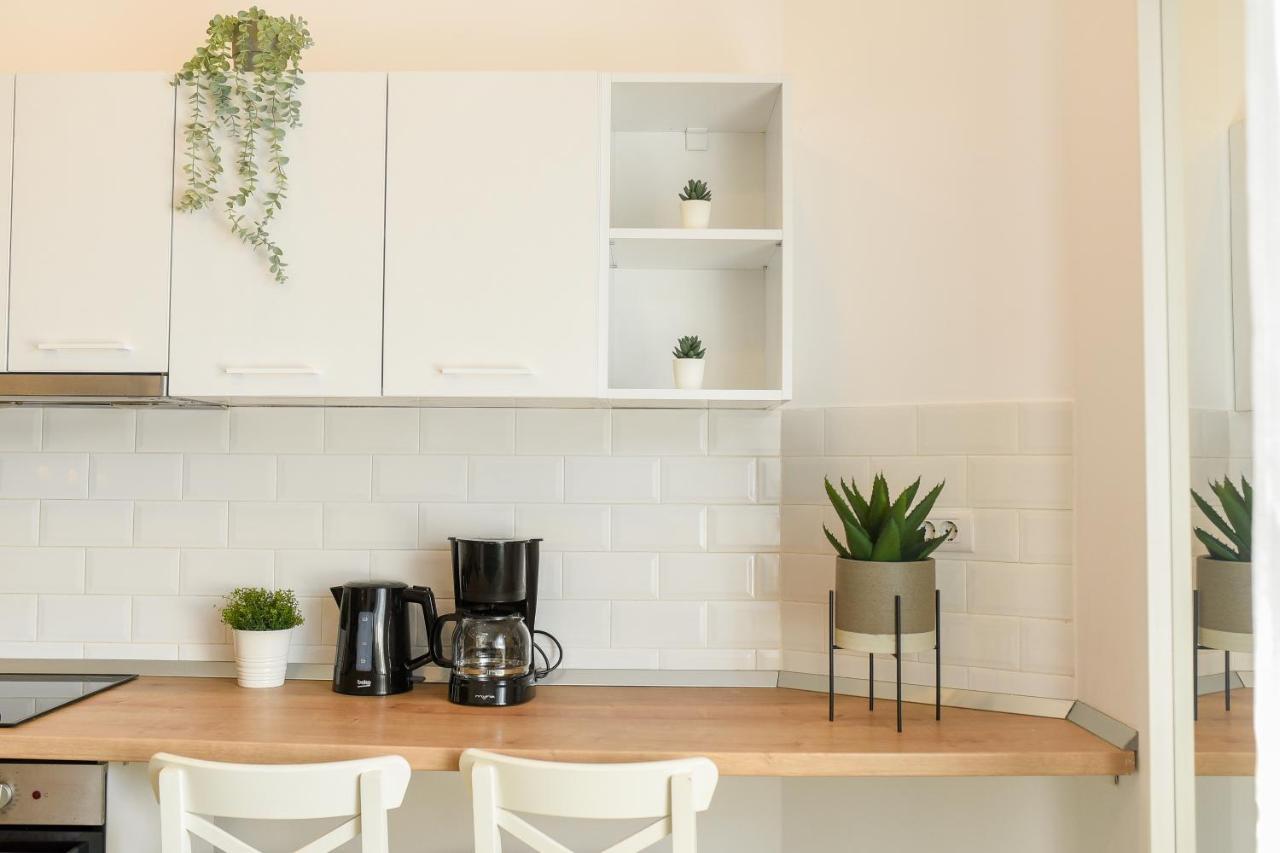 Apartment Classy Comfort - Chic On Regina Elisabeta